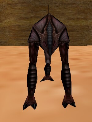Reedshark Hunter Live.jpg