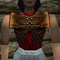 Lorica Breastplate Live.jpg