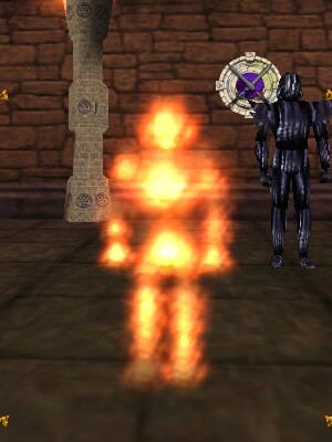 Fire Elemental (Summoned) Live.jpg