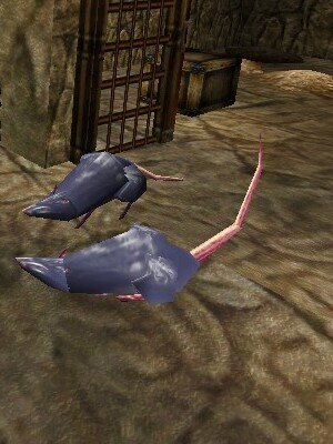 Silver Rat Live.jpg