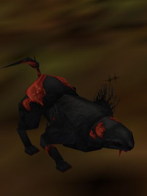 Snarl Live.jpg