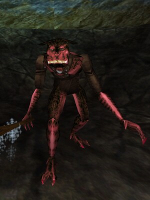 Banderling Spirit Seeker Live.jpg