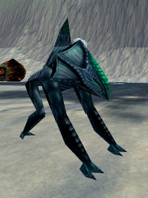 Floeshark Live.jpg