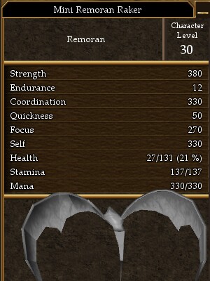 Mini Remoran Raker.jpg