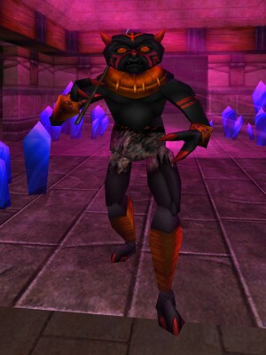 Southern Black Claw Leader Live.jpg