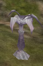 Snow Lily Live.jpg