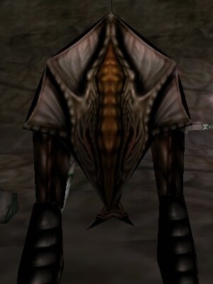 Dune Seeker Live.jpg