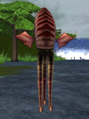 Glissnal Niffis Live.jpg