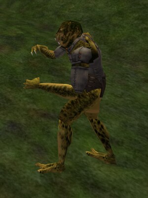 Banderling Striker Live.jpg