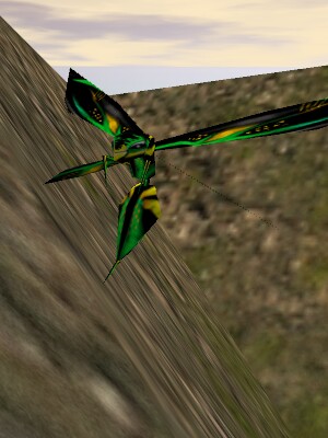 Giant Jungle Phyntos Wasp Live.jpg