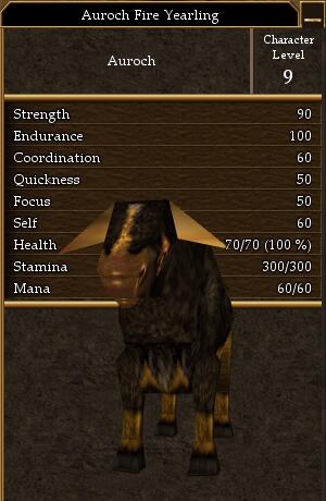 Auroch Fire Yearling.jpg