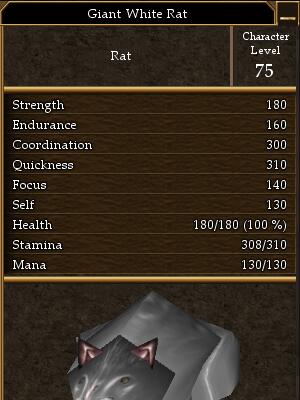 Giant White Rat.jpg
