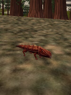 Bronze Armoredillo Pup Live.jpg