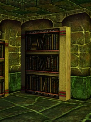 Bookshelf (Citadel Library - Falatacot) Live.jpg