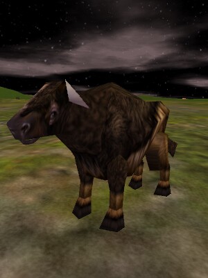 Auroch Cow Live.jpg