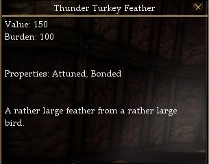 Thunder Turkey Feather.jpg