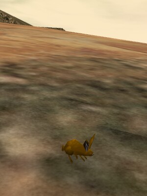 Desert Bunny Live.jpg