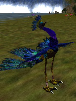 Littoral Siraluun Live.jpg