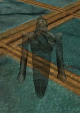 Wandering Ghost Live.jpg