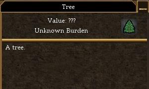 Tree.jpg