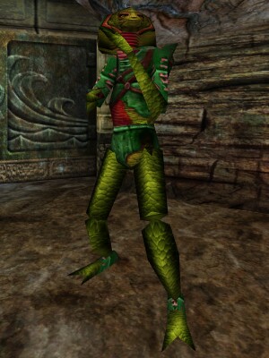 Faisi Sclavus Live.jpg