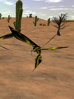 Gold Phyntos Wasp Live.jpg