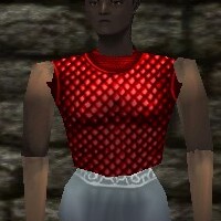 Scalemail Breastplate Live.jpg