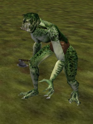 Banderling Scout Live.jpg