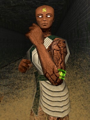 A'nekshay Temple Servant Live.jpg