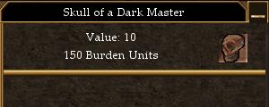 Skull of a Dark Master.jpg