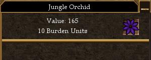 Jungle Orchid (Object).jpg