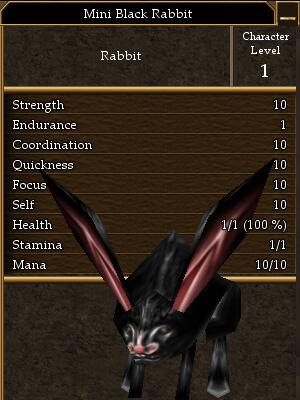 Mini Black Rabbit.jpg