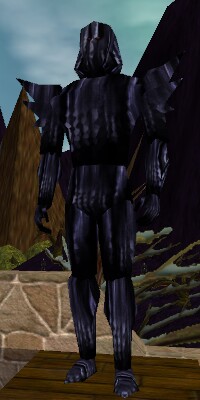 Xireri Live.jpg