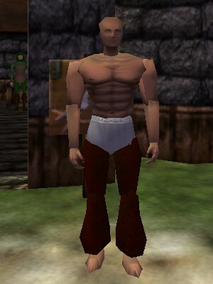 Tailoring Kit 2 Live.jpg