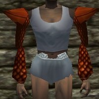 Scalemail Sleeves Live.jpg