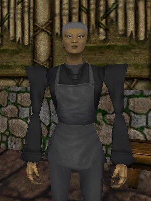 Archmage Le-Ai Ren Live.jpg