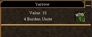 Yarrow.jpg