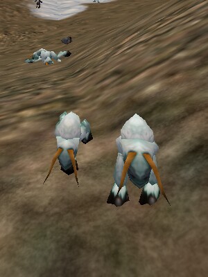 Dire Mattie Live.jpg