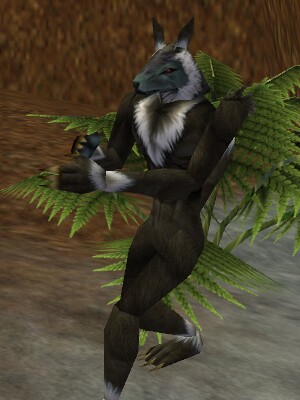 Fallen Mite Live.jpg
