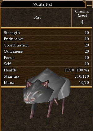 White Rat.jpg