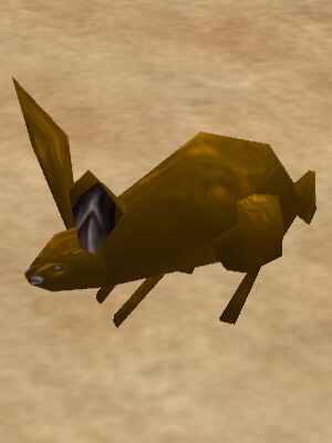 Desert Rabbit Live.jpg