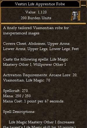 Vestiri Life Apprentice Robe.jpg