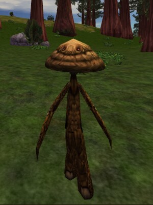 Morel Thrungus Live.jpg