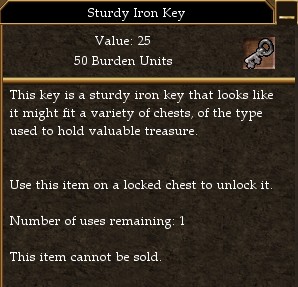 Sturdy Iron Key.jpg