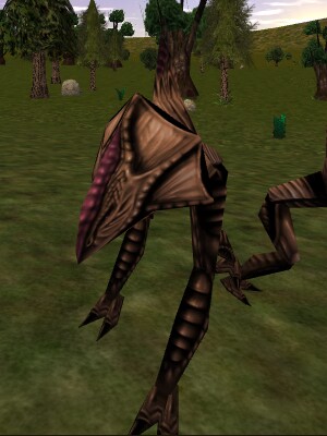 Reshalra Live.jpg
