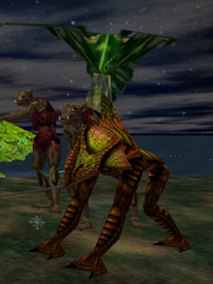 Shallows Destroyer Live.jpg