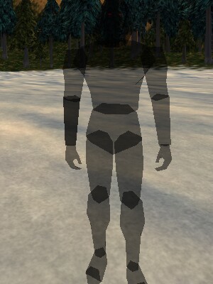 Lesser Void Knight Live.jpg
