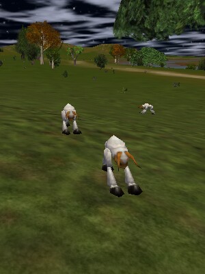 White Mattie Live.jpg