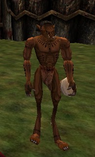 Aun Faranua Live.jpg