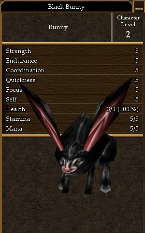 Black Bunny.jpg